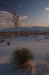 22_White Sands National Monument_10